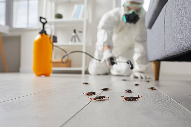 Commercial Kitchen Cockroach Control in Middletown